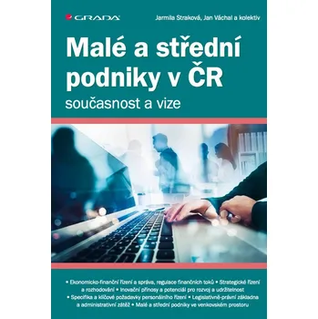 Kniha Malé a střední podniky v ČR – současnost a vize Ekniha