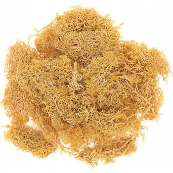 Obraz Okrový mech 30G Dpcraft