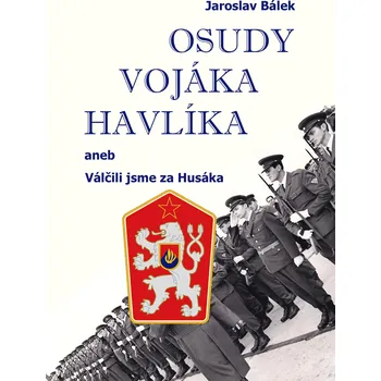Kniha Osudy vojáka Havlíka Ekniha