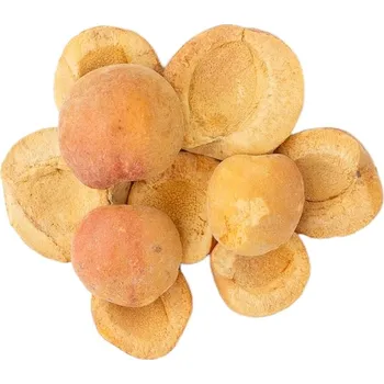 Sušené ovoce Lyo-planet Meruňka lyofilizovaná 100g