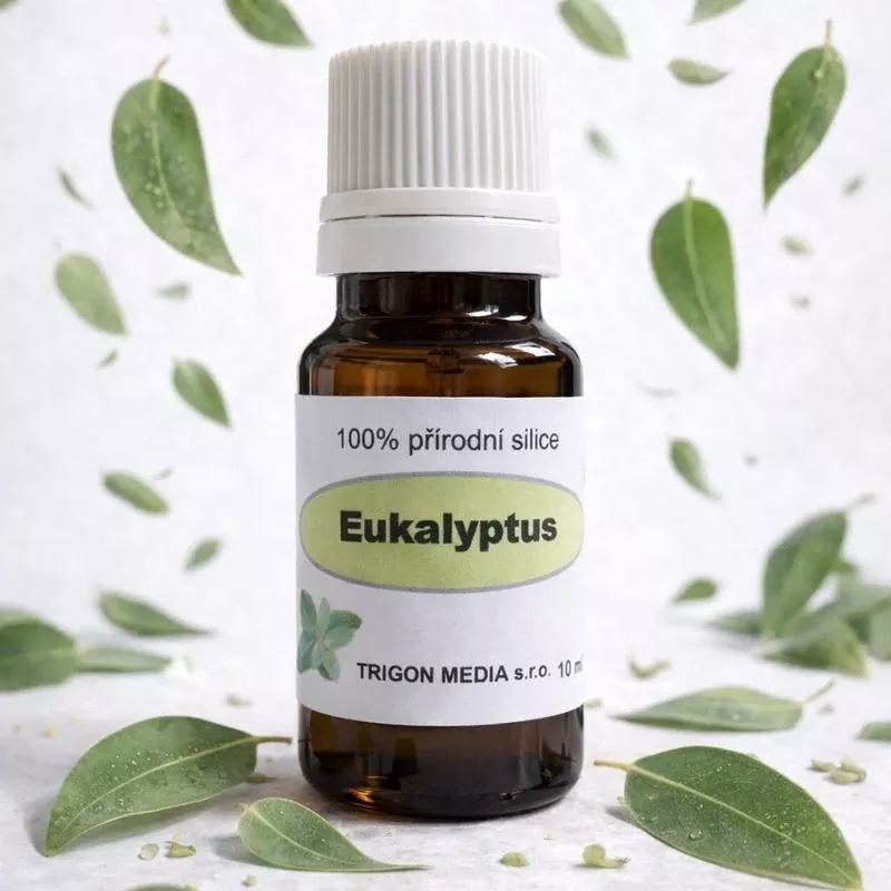 Eukalyptus 100% silice – 30 ml