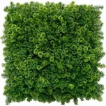 Umělý mech 50 x 50 cm