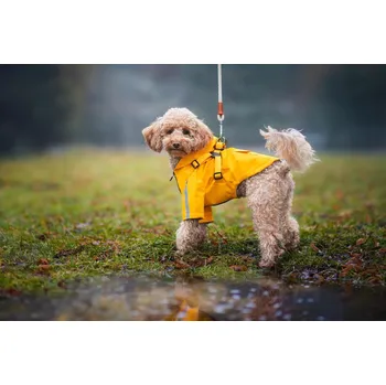 Obleček pro psa Vsepropejska Lorin pláštěnka pro psa s postrojem Barva: Žlutá, Délka zad (cm): 26, Obvod hrudníku: 38 - 42 cm