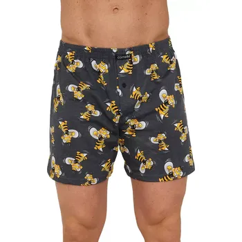 Pánské trenky Classic 001/187 šedá, vosy velikost XL