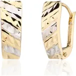 DIANTE Zlaté náušnice 59638976 (Au 585/1000, 1,36 g)