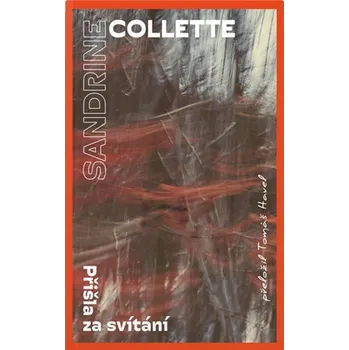 Přišla za svítání Kniha