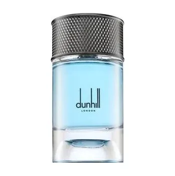 DUNHILL Signature Collection Nordic Fougere EdP 100 ml