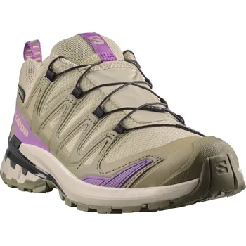 Dámská běžecká obuv Salomon Xa Pro 3D V9 GTX W L49145800 - bog/aloe concord/grape 40