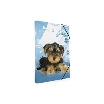 Set školních potřeb Karton P+P Školní box A5 Junior mix motivů