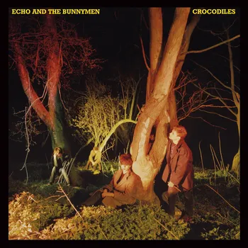 Zahraniční hudba Echo & The Bunnymen: Crocodiles