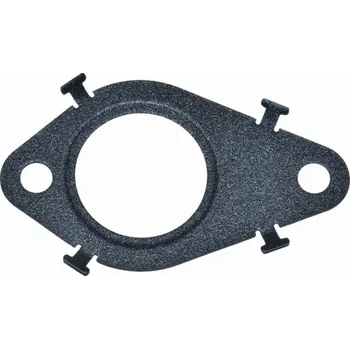 Auto-moto Těsnění chladiče EGR ventilu Iveco Daily od 2022 2,3D, 5803212104