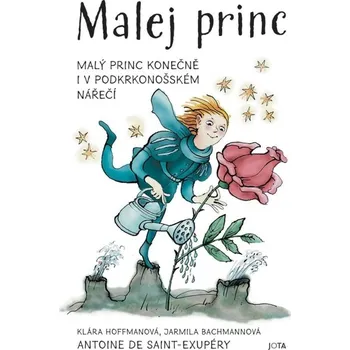 Beletrie pro dospělé Malej princ: Malý princ konečně i v podkrkonošském nářečí Kniha
