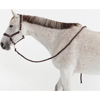 FOUGANZA Set ohlávka + vodítko pro koně FS KAŠTANOVÁ