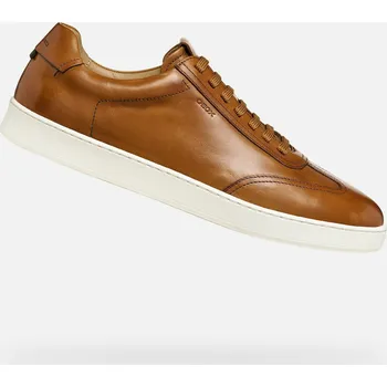 Pánské tenisky Geox Pánské Hnědé pánské tenisky Geox Regio Hnědá 41 (3006252)