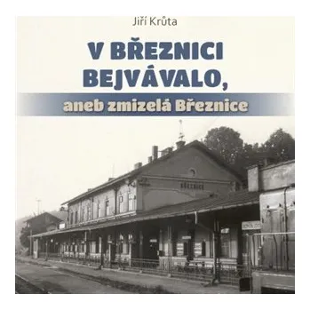 V Březnici bejvávalo, aneb zmizelá Březnice