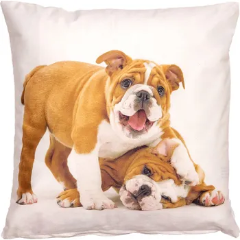 Povlak na polštářek Tegatex Povlak na polštář s fototiskem - Pejsci 40*40 cm