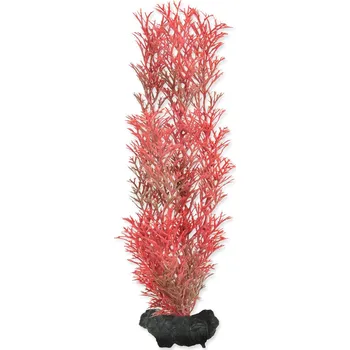 Dekorace Tetra Rostlina Foxtail Red M 23cm-KARTON