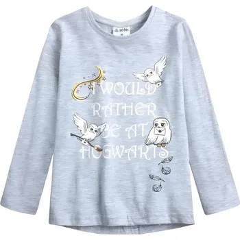 Pánské tričko Triko Harry Potter šedé 104