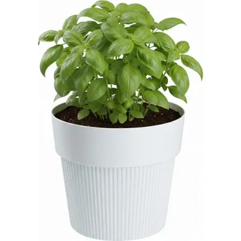 Květináč Květináč SILVA LINE 17,4x20 cm bílý