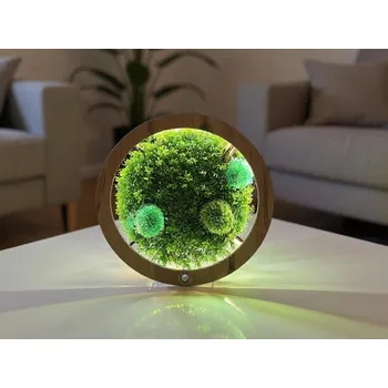 Obraz Li-Go "Mechové kopečky" dřevěná lampa/obraz 31 cm/s baterií a pohybovým čidlem provedení povrchu: dub