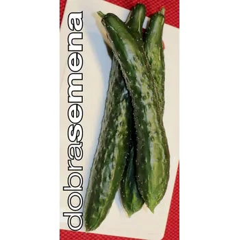 Semeno DOBRÁ SEMENA OKURKA NAGAI - salátová 10 s
