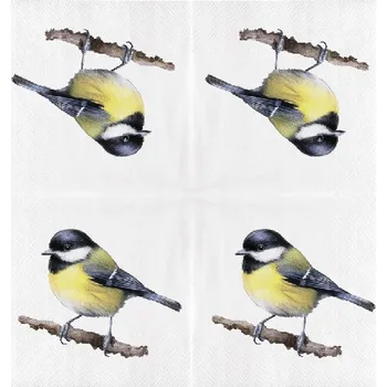 Papírový ubrousek Ubrousky WATERCOLOR BIRDS, ptáčci - sýkorka koňadra, 33x33cm|Esschert Design