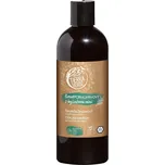 Tierra Verde Šampon kopřivový s…