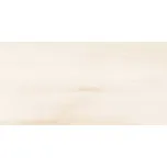 RAKO WADVK573.1 Poem 30 x 60 cm 1,44 m2…