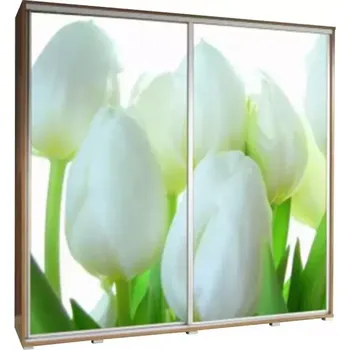 Šatní skříň Skříň Penelopa 205 cm tulipány