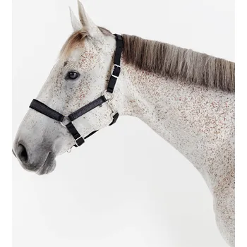 FOUGANZA Jezdecká ohlávka pro koně nubuková s flitry CS ČERNÁ