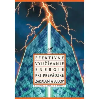 Technika Efektívne využívanie energie pri prevádzke zariadení a budov (, 2000)