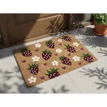 Rohožka vícebarevná kokosové vlákno s gumovým spodkem 50 x 80 cm dekorace s motivem jahod vítací rohožka Beliani