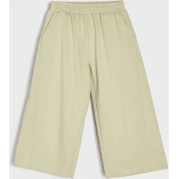 Sinsay - Tepláky se širokými nohavicemi - zelená - 660IQ-70X - 660IQ-70X-134