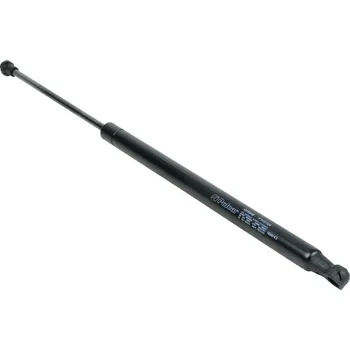 Dveře karosérie Pneumatická vzpěra pátých dveří (kufru) RENAULT MODUS (JP0/F) HATCHBACK 2004-2007