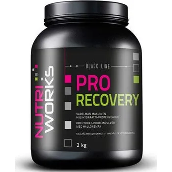 Anabolizér NutriWorks Pro Recovery 2 kg