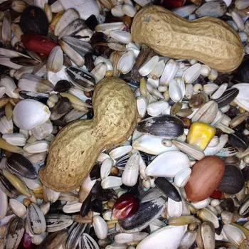 Pro ptáka Avest - Směs pro velké papoušky 20 kg