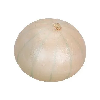 Dekorace Cibule FAUX, bílá, pr.8x7cm, ks|Esschert Design