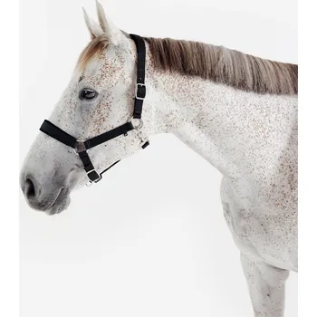 FOUGANZA Jezdecká ohlávka pro koně nubuková CS ČERNÁ