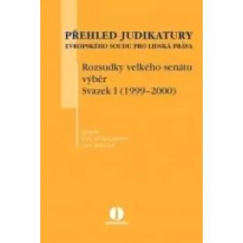 Přehled judikatury Evropského soudu pro lidská práva (, 2010)