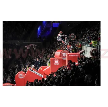 Moto obuv boty TECH T, ALPINESTARS (olejovaná kůže , vel. 48) (Velikost: 38) 2004017-818