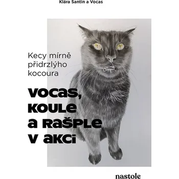 Kecy mírně přidrzlýho kocoura: Vocas, koule a rašple v akci - Klára Santin (2025) [E-kniha], kniha