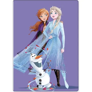 Dětská deka BrandMac Dětská deka FROZEN polar fleece 100x140cm fialová