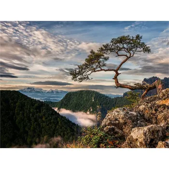 Obraz Obraz na plátně Sokolica, 85 × 113 cm&nbsp;CA-14057