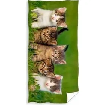 Osuška Carbotex 140 cm x 70 cm