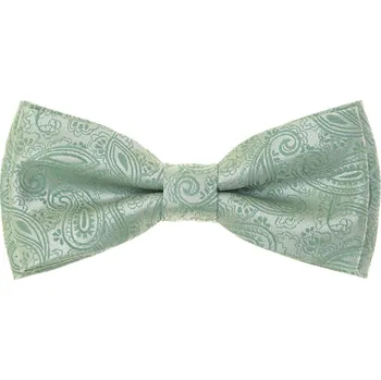 Motýlek Avantgard Motýlek s kapesníčkem, 575-22609, Zelená/šalvějová