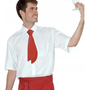 Pánská košile Pánská číšnická košile s krátkým rukávem, model 182-186