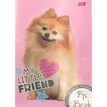 Sešit Sešit A4, linkovaný (3 linky), St. Majewski, 32 listů