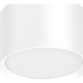 Stropní přisazené svítidlo Milagro 15 W GX53 10 cm bílé