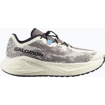 Pánská obuv Pánské běžecké boty Salomon Aero Blaze 3 GRVL vanilla ice/black/iron