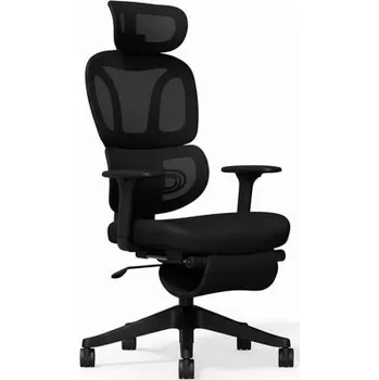 Ergonomická kancelářská židle BS5BB-PRO, černá - N FLEXISPOT